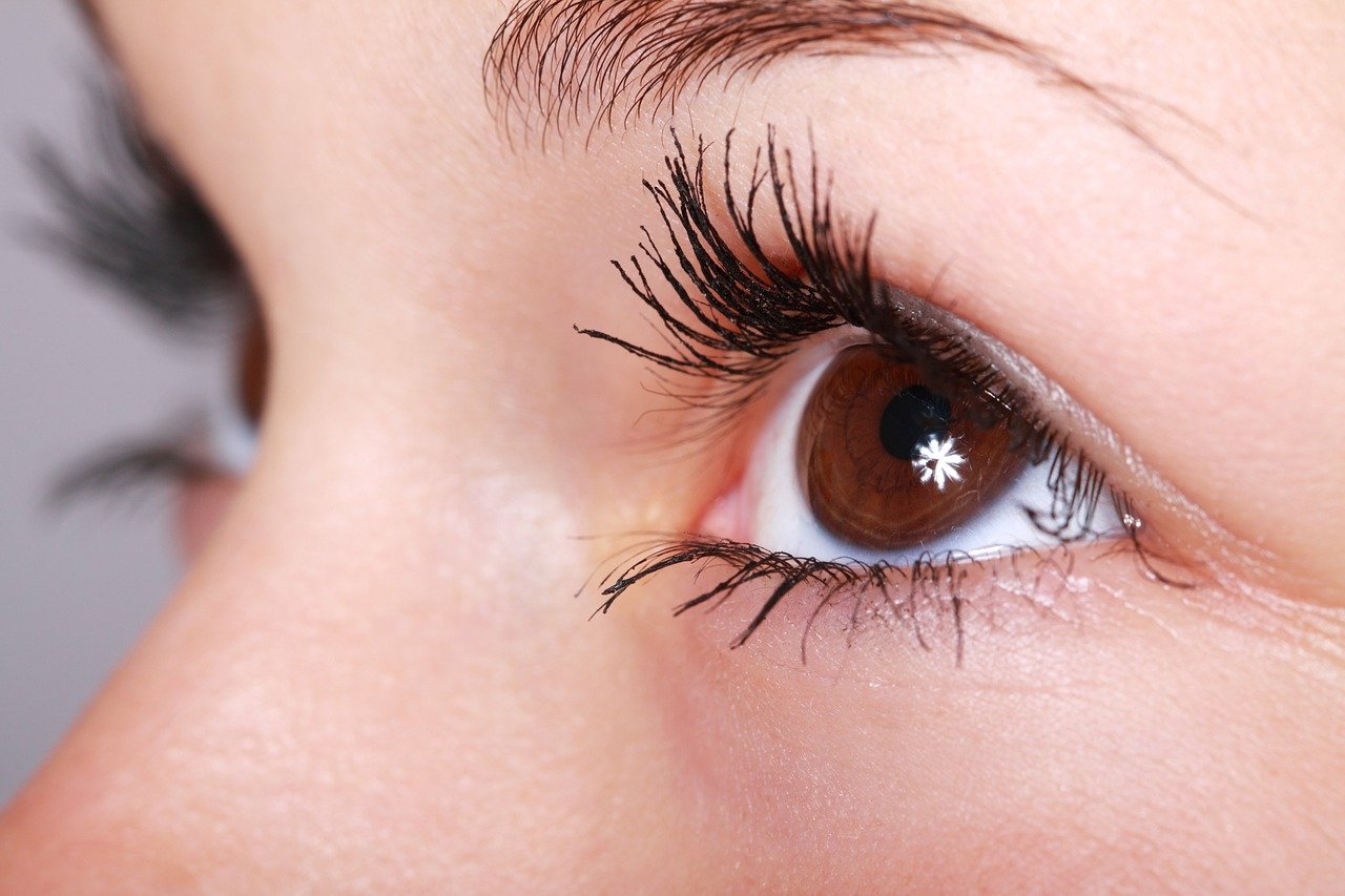 Signe Des Cils De Souque